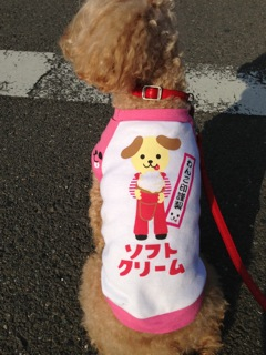 今日のお洋服