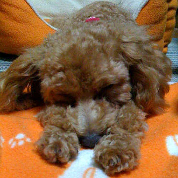 Sphoto_5