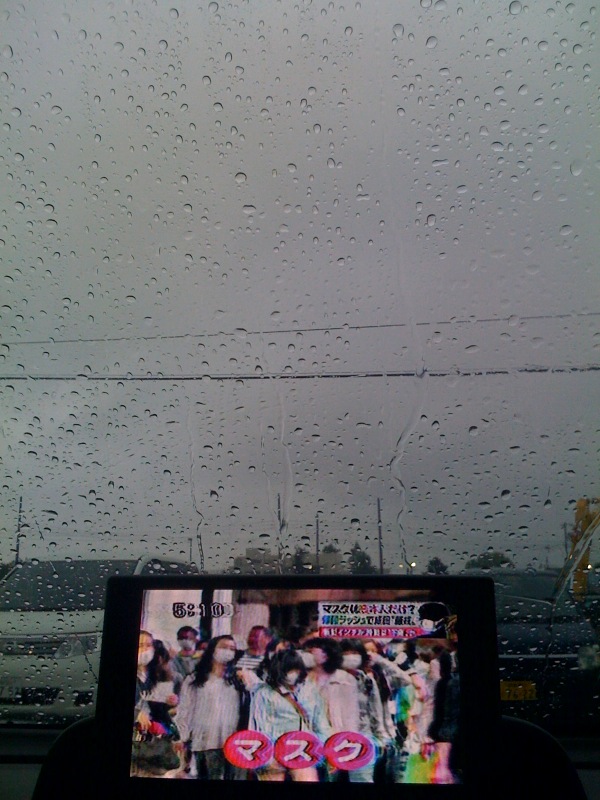 神奈川は本降りの雨